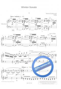 Winter-Sonate von Helmut Quakernack 