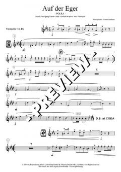 Auf der Eger (Original Hofbräuhaus-Festkapelle) 