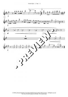 Auf der Eger (Original Hofbräuhaus-Festkapelle) 