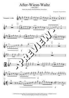 After-Wiesn-Waltz (Original Hofbräuhaus-Festkapelle) 
