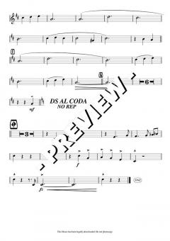 Rosen aus dem Süden (Johann Strauss (Vater)) 