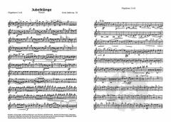 Jubelklänge / Graf Zeppelin-Marsch (Ernst Uebel) 