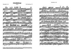 Jubelklänge / Graf Zeppelin-Marsch (Ernst Uebel) 