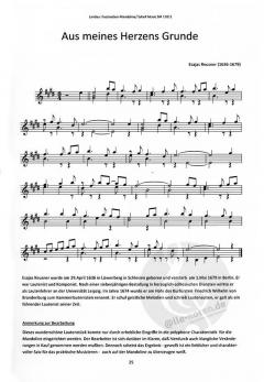 Faszination Mandoline von Hans W. F. Landau im Alle Noten Shop kaufen