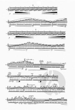 Manic Psychosis I for Flute solo 