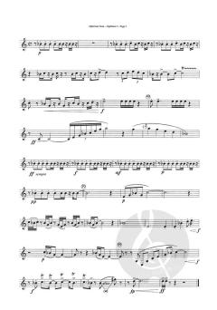 Alphorner suite 1, 2, 3 et 4 Cors des Alpes von Jean-Michel Defaye für Alphorn