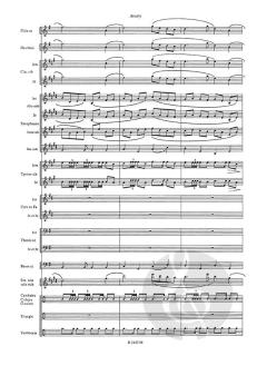 Amary von Paul Fromin 