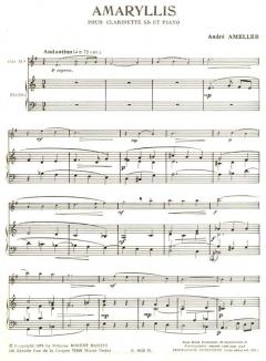 Amaryllis von André Amellér 