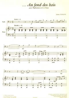 Au fond des bois von Jérôme Naulais 