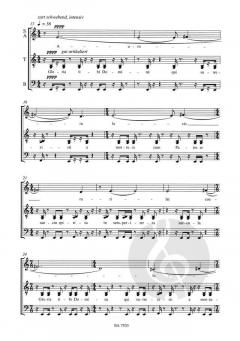 Psalm von Beat Furrer 