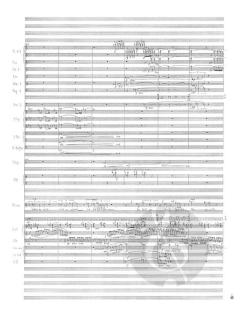 Was ihr wollt von Manfred Trojahn 