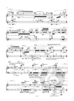 Figura III per fisarmonica von Matthias Pintscher 