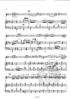 Concertino 10 von Julien Porret 