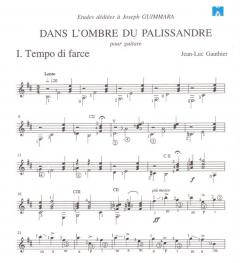 Dans l'ombre du palissandre von Jean-Luc Gauthier 