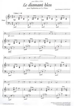 Diamant bleu von Jean-Francois Basteau 