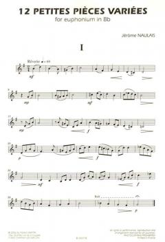 Douze petites pièces variés (Version Bb) von Jérôme Naulais 