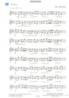 Festoso von Marc Brunel 