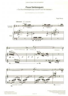 Feux fantasques von Roger Boutry 