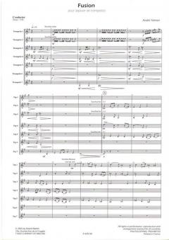 Fusion, 7Tp von André Telman 