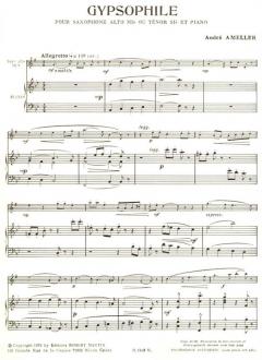 Gypsophile, Alto ou Ténor von André Amellér 