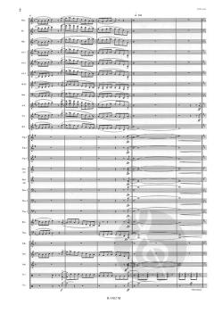 Je marche seul (Jean-Jacques Goldman) 