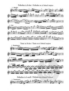 Sololiteratur des Hochbarock für Altblockflöte (unbegleitet) 