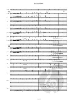 L'invite de Marc (Tuba solo) (Jean-Philippe Vanbeselaere) 