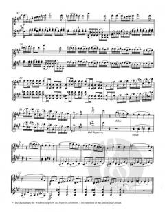 Duo concertant in A von Franz Berwald 