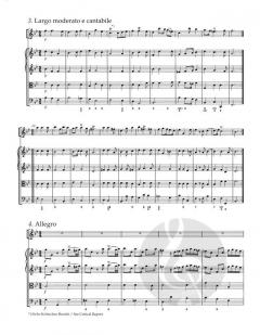 Konzert g-Moll HWV 287 von Georg Friedrich Händel für Flöte (Oboe) und Orchester im Alle Noten Shop kaufen (Partitur)