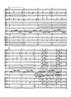 Klavierkonzert KV 491 von Wolfgang Amadeus Mozart 