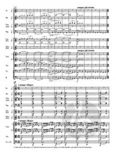 Symphonie Nr. 6 in F op. 68 von Ludwig van Beethoven 
