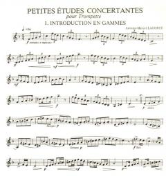 Petites études concertantes von Loïc Mallie 