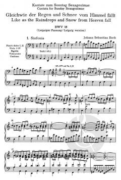 Gleichwie der Regen und Schnee vom Himmel fällt (J.S. Bach) 