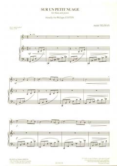 Sur un petit nuage von André Telman 