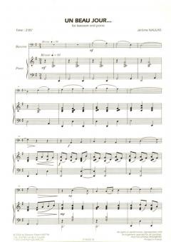 Un beau jour... (Jérôme Naulais) 