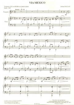 Via Mexico von Jérôme Naulais 