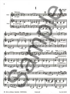 Lectures d'auteurs a Chanter von Odette Gartenlaub 