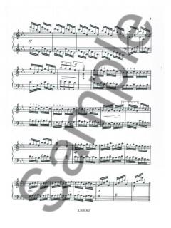 10 Etudes Progressives et Techniques 