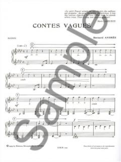 Contes Vagues von Bernard Andres 
