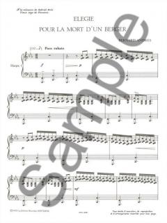 Elegie pour la Mort d'un Berger von Bernard Andres 