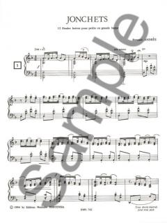 Jonchets von Bernard Andres 