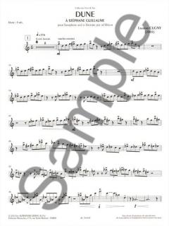 Dune à Stéphane Guillaume 