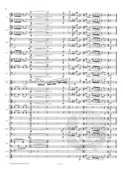 Divertimento (Roger Boutry) 