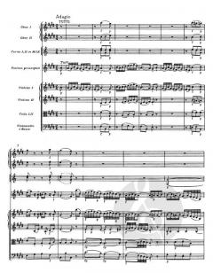 Violinkonzert KV 219 von Wolfgang Amadeus Mozart 