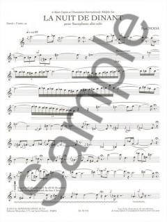 La Nuit de Dinant (9') pour Saxophone Alto Seul von Ryo Noda 