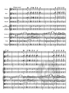 Sinfonie Nr.40 KV 550 von Wolfgang Amadeus Mozart 