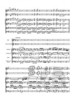 Sinfonie Nr.29 KV 201(186a) von Wolfgang Amadeus Mozart 