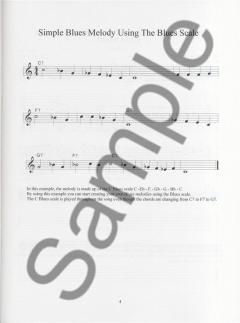 100 Ultimate Blues Riffs For Guitar von Andrew D. Gordon 