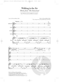 Walking In The Air (Howard Blake) 