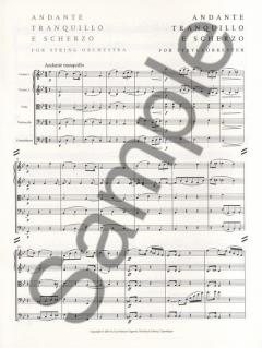 Andante Tranquillo e Scherzo von Carl Nielsen 